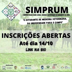 SIMPRUM UEMA